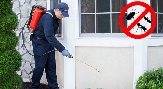Sarıveliler Gümüşkurt İlaçlama böcek ilaçlama ve haşere kontrolü — ilaclama-tr.com